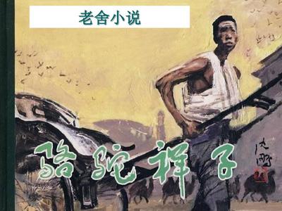 今日看料官网入口